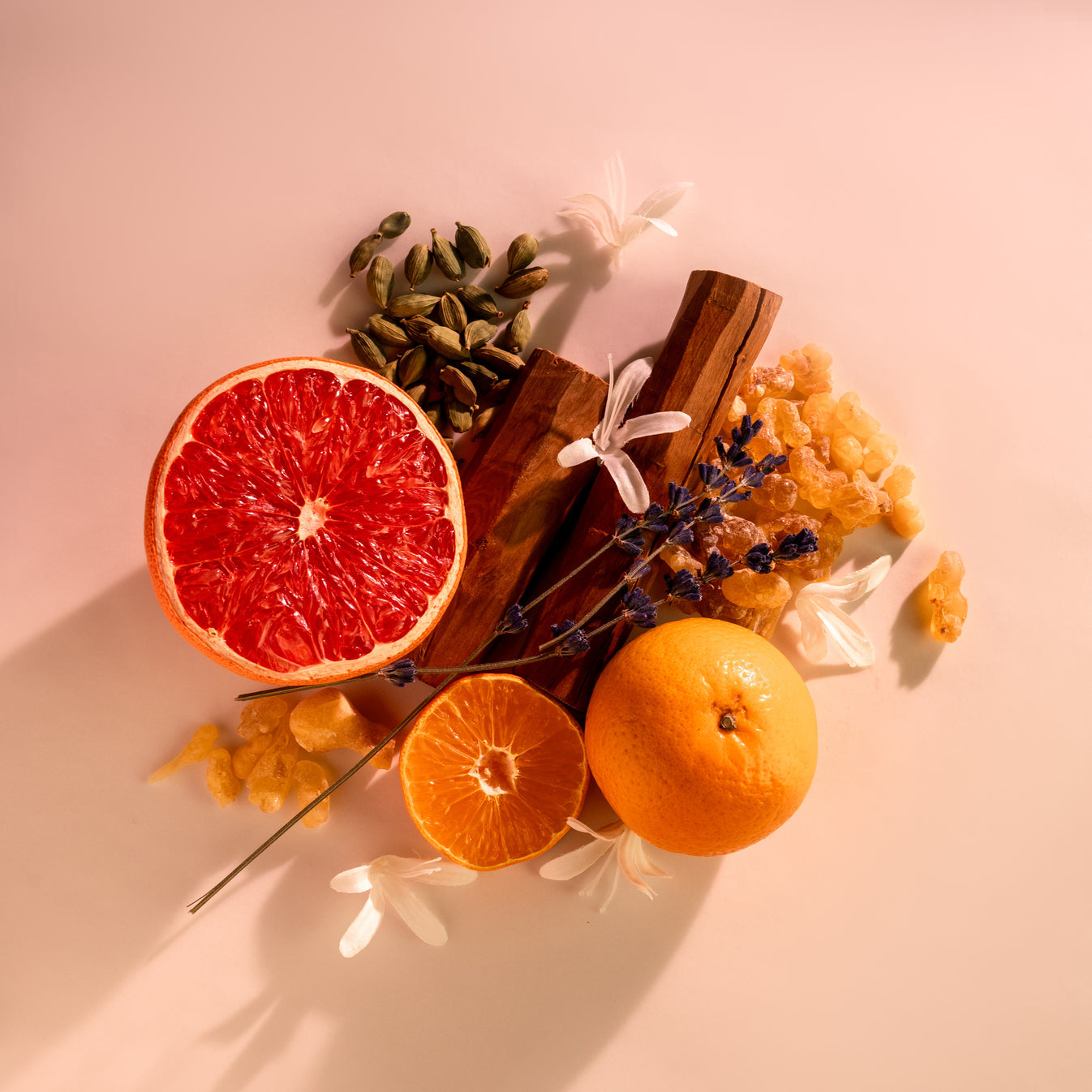 NASAJ – OMAN LUXURY