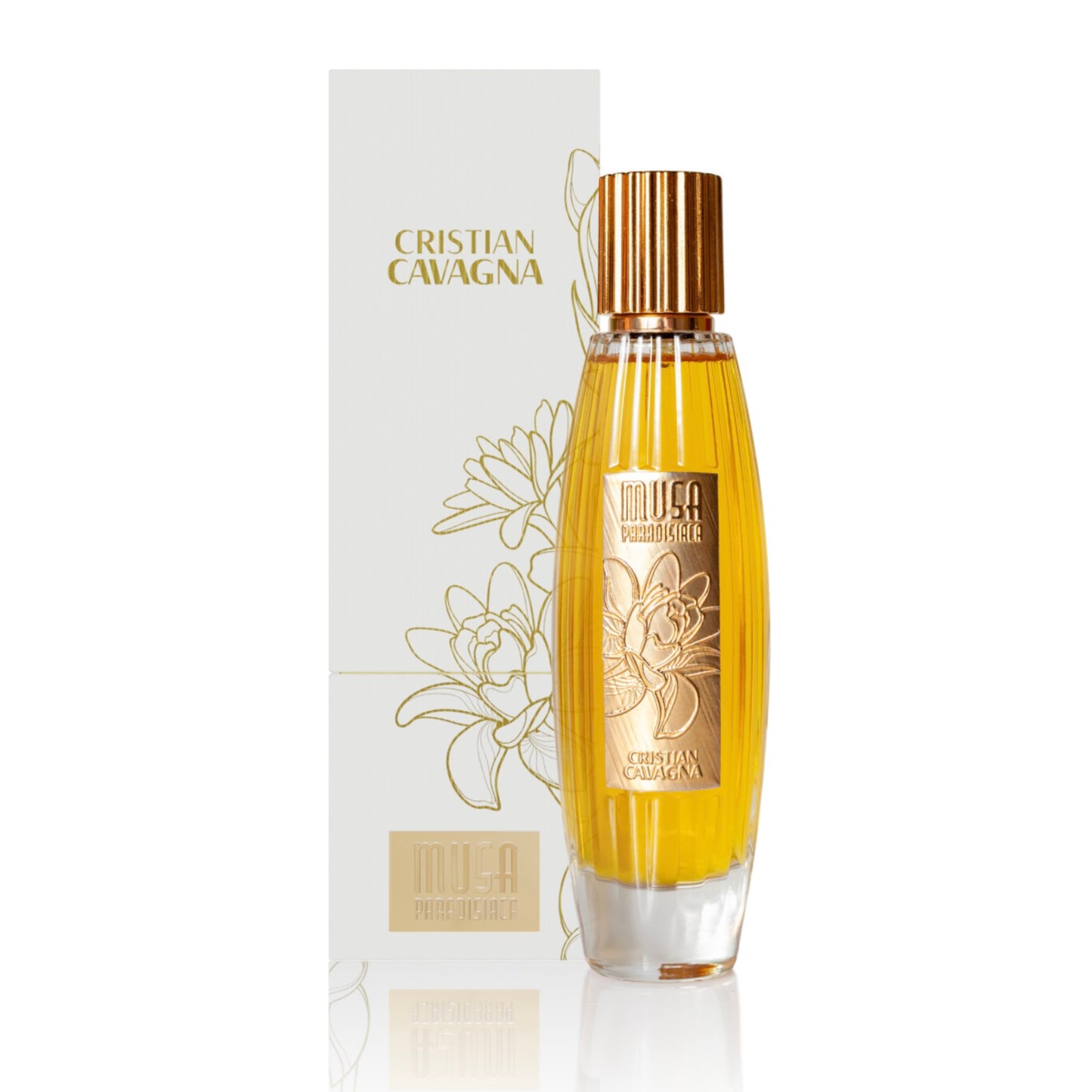 MUSA PARADISIACA – CRISTIAN CAVANGA