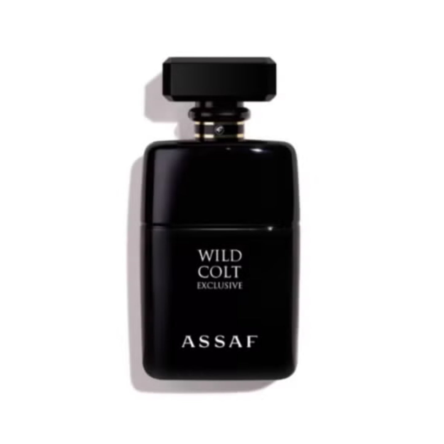 WILD COLT EXCLUSIVE – ASSAF
