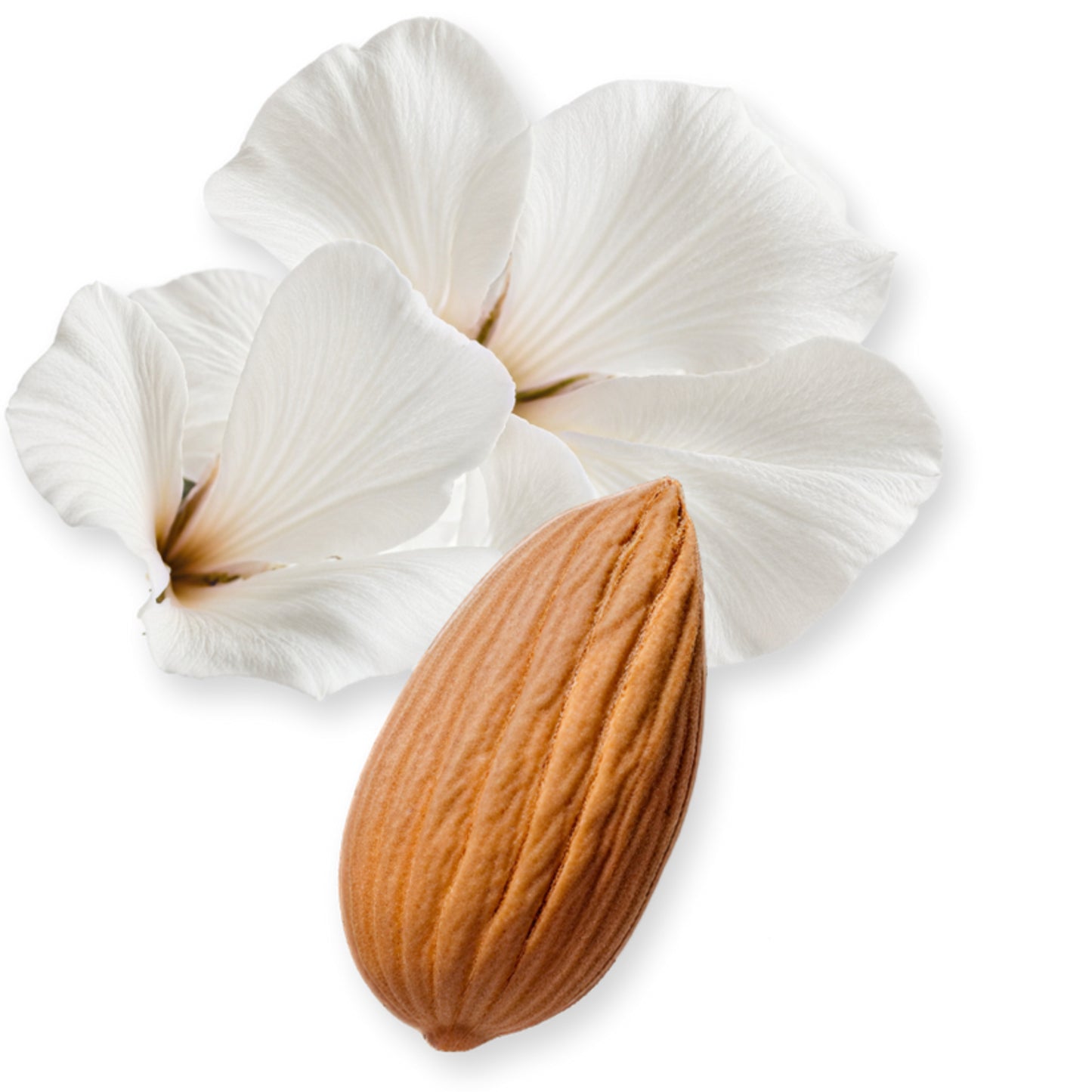 VALAYA EXCLUSIF – PARFUMS DE MARLY