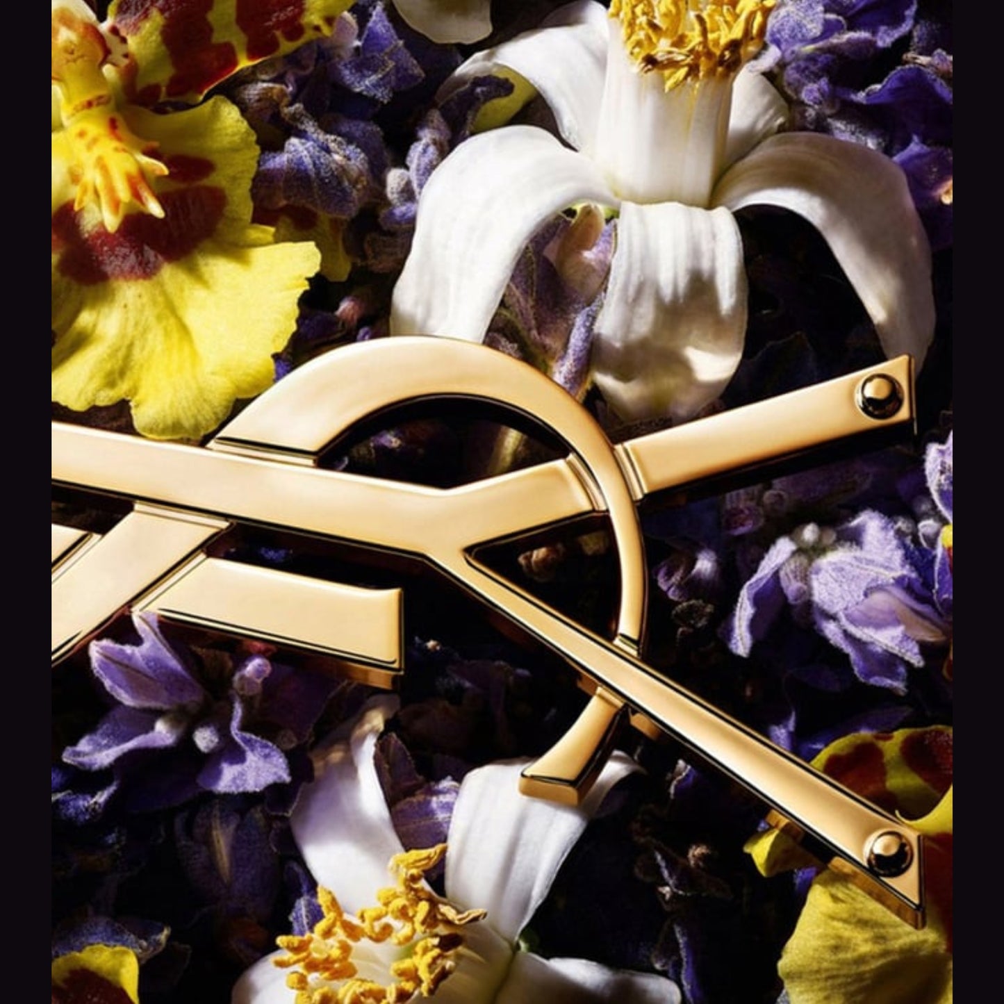 LIBRE INTENSE – YVES SAINT LAURENT