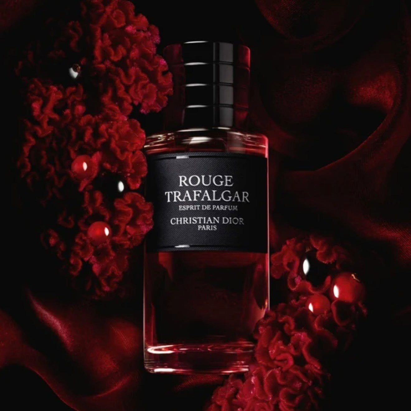ROUGE TRAFALGAR – CHRISTIAN DIOR