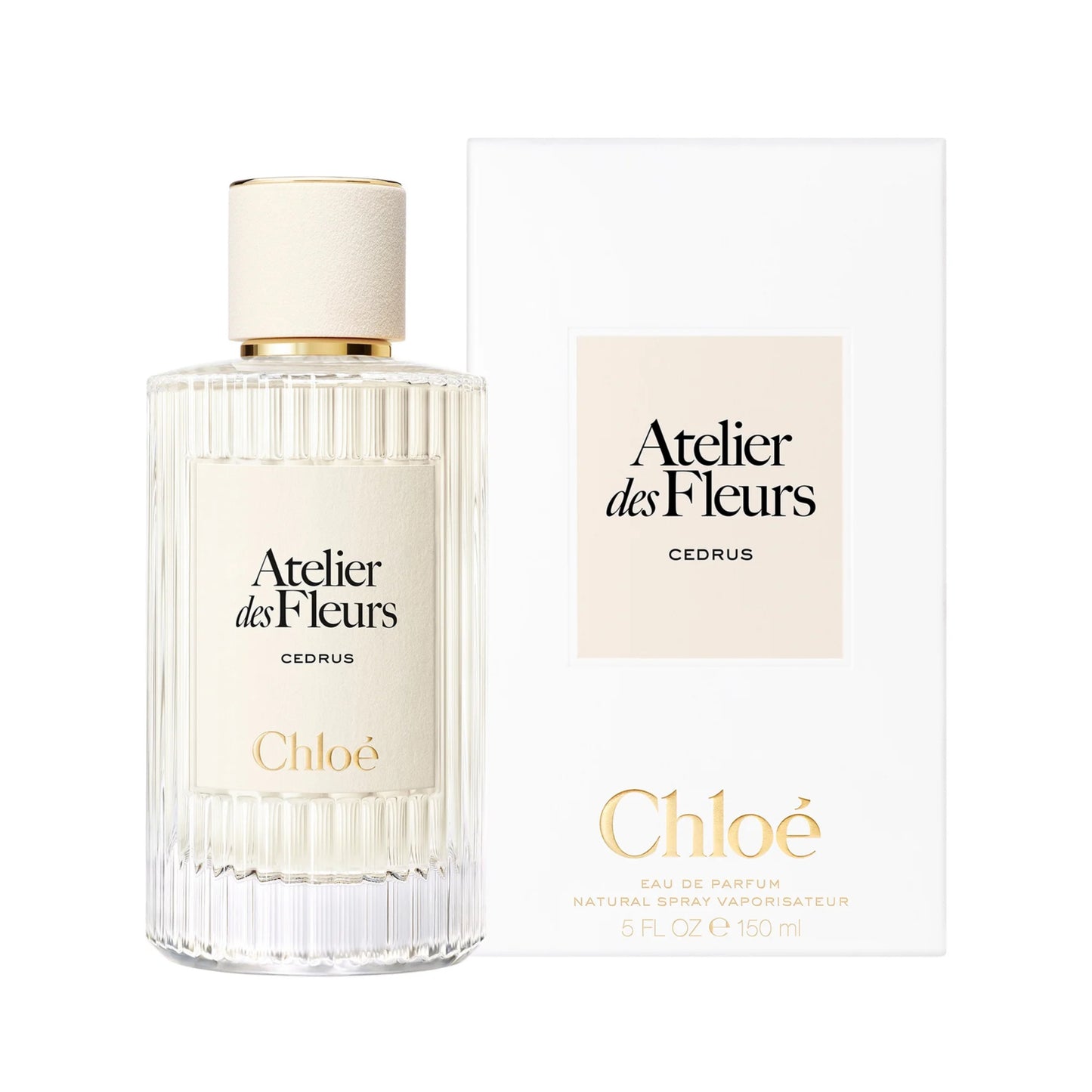ATELIER DES FLEURS CEDRUS – CHLOÉ