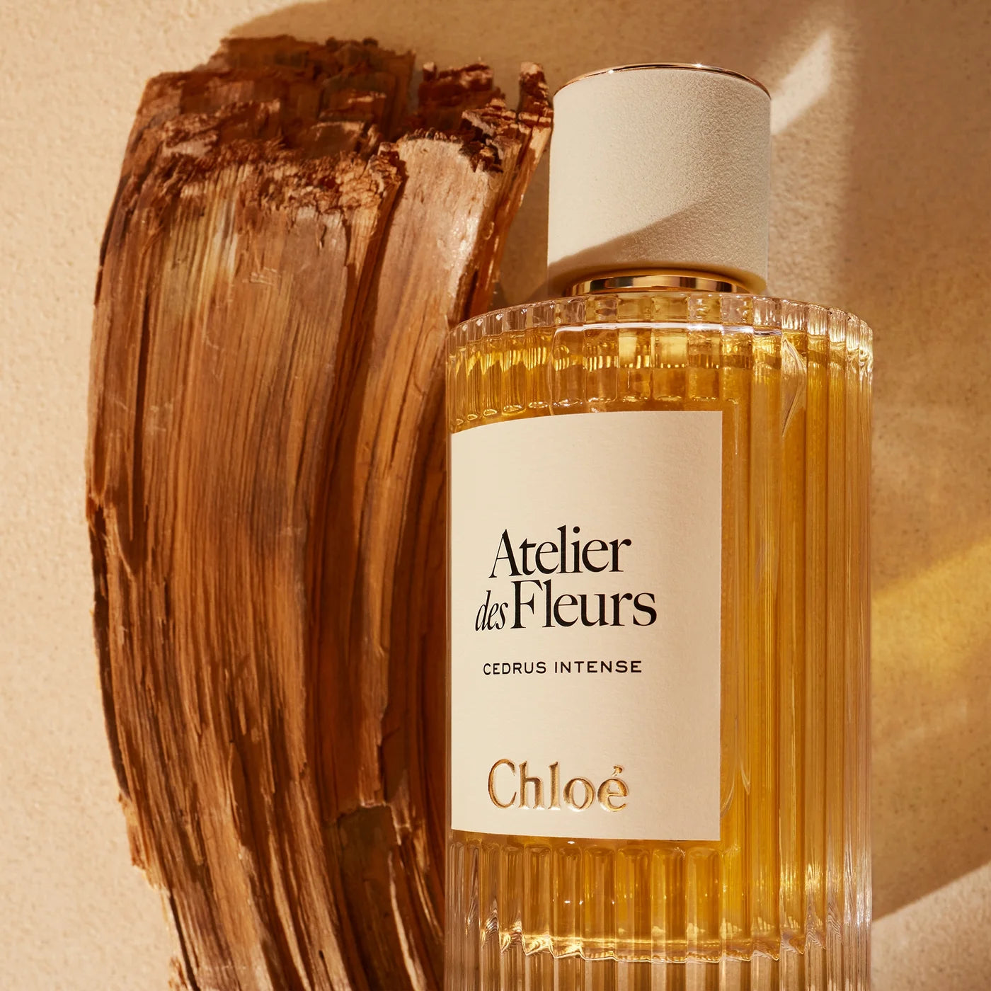 ATELIER DES FLEURS CEDRUS INTENSE – CHLOÉ