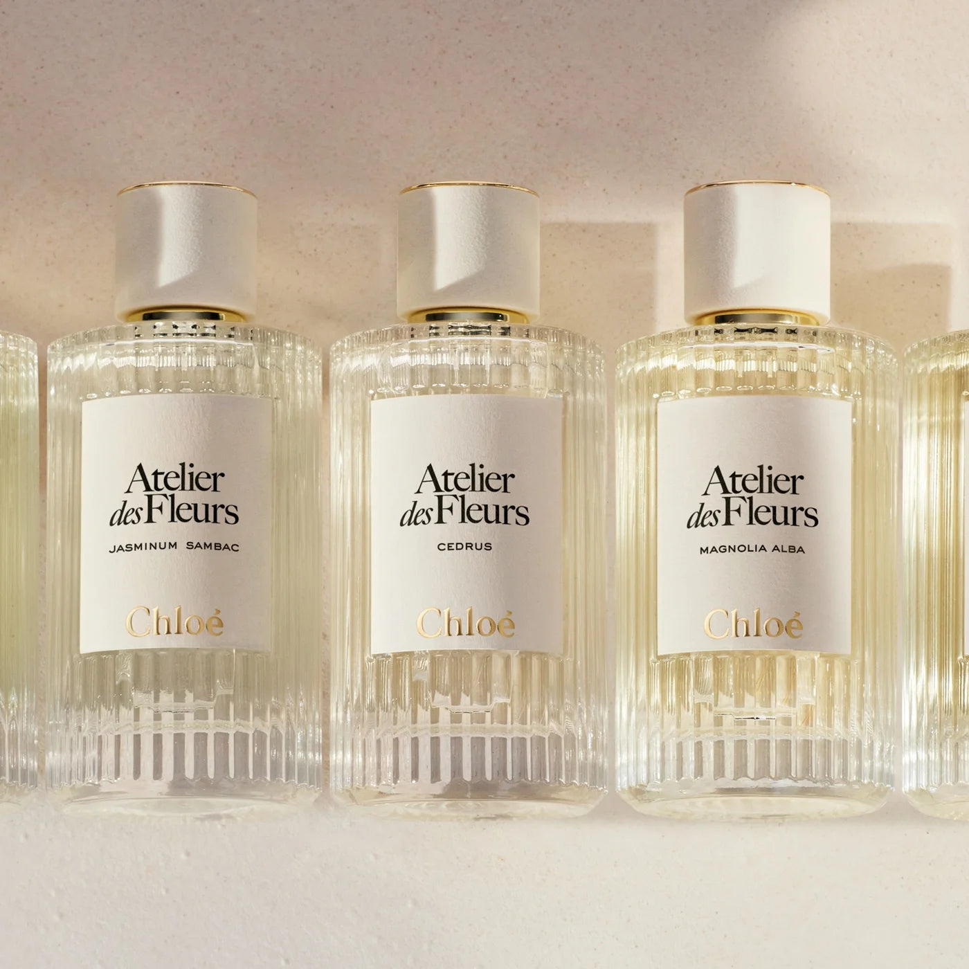 ATELIER DES FLEURS CEDRUS – CHLOÉ