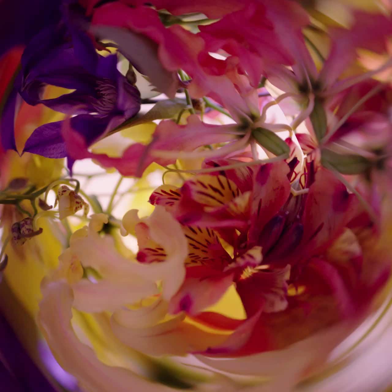 MYRIAD – LOUIS VUITTON