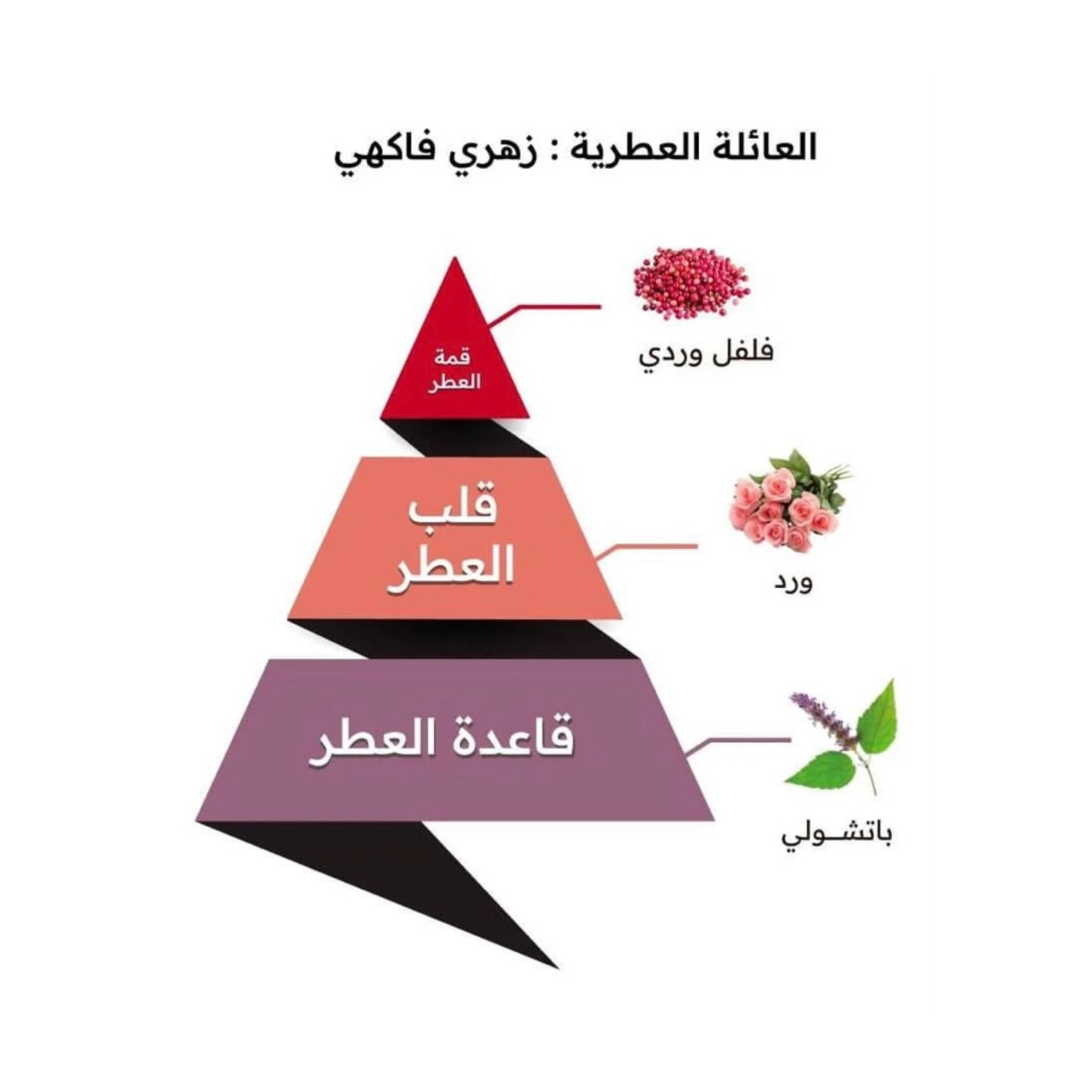 PRESTIGE PEARL – ALMAJED OUD