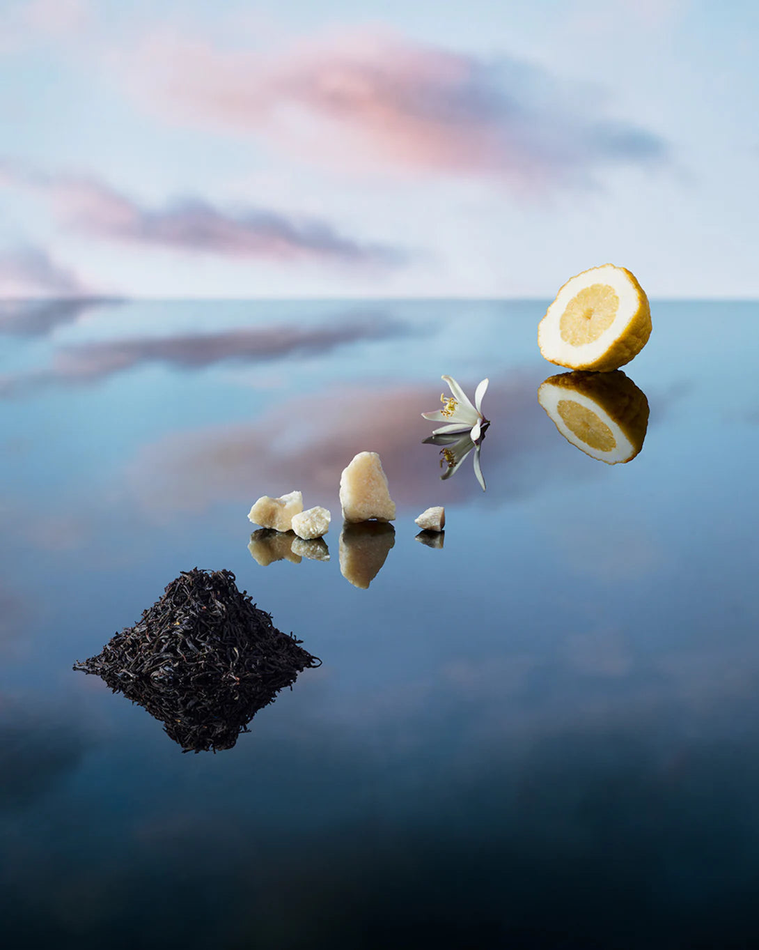 IMAGINATION – LOUIS VUITTON