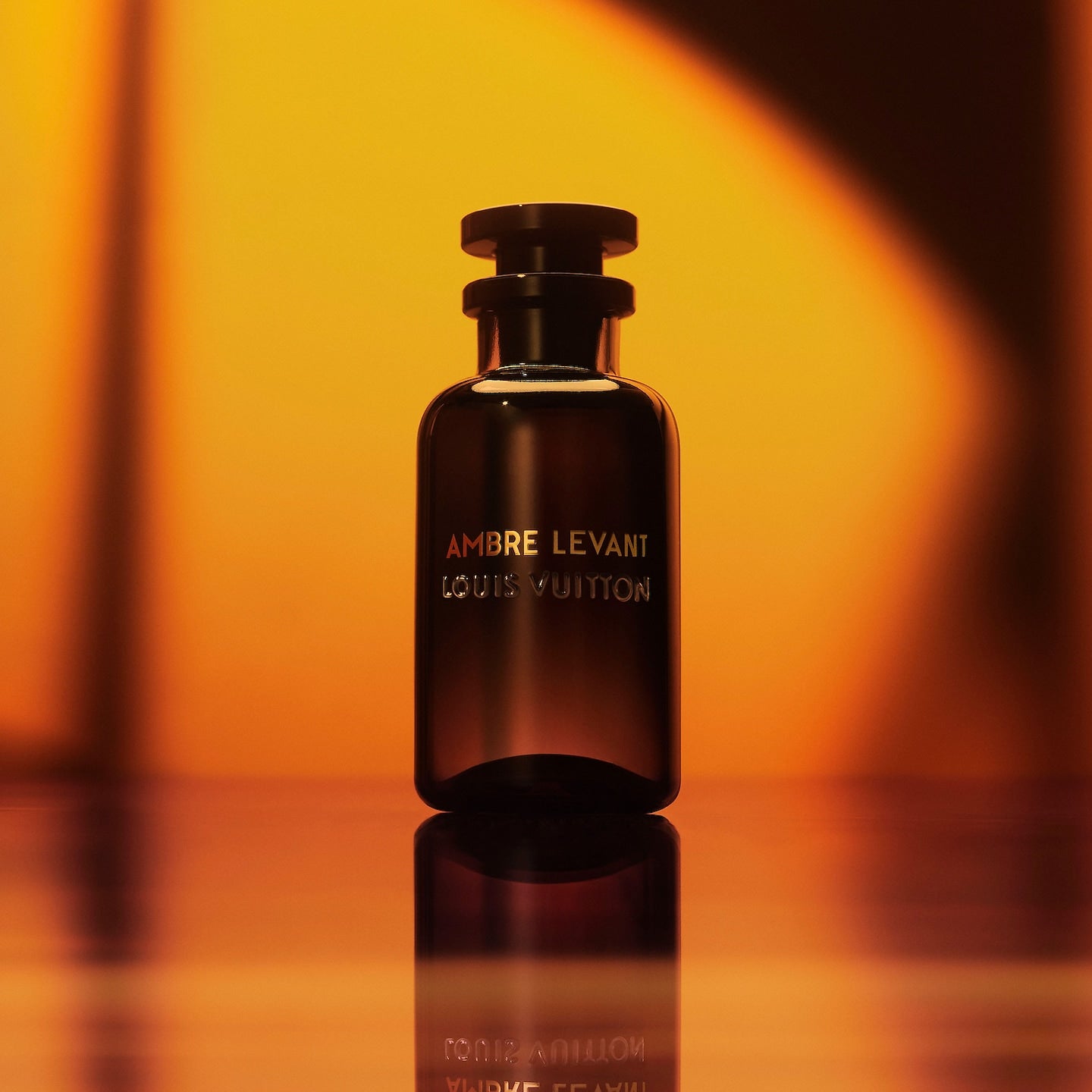 AMBRE LEVANT – LOUIS VUITTON
