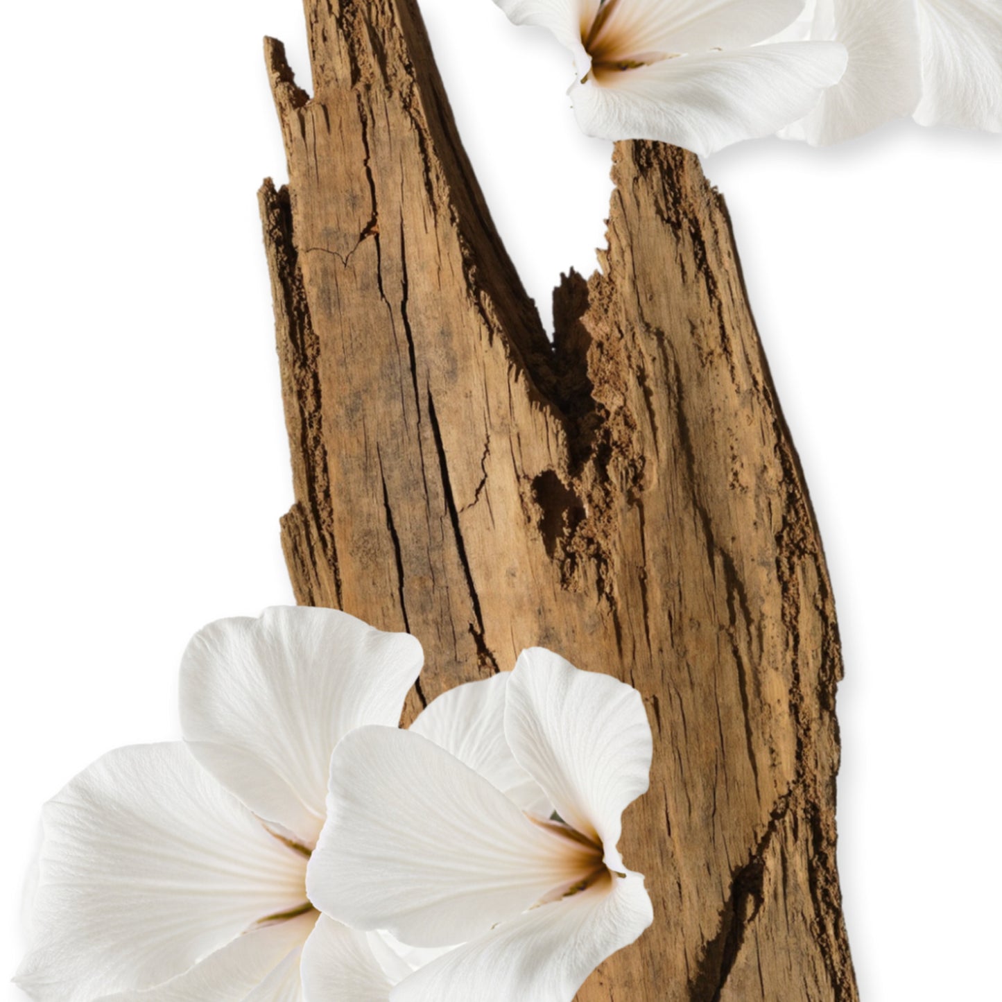 VALAYA – PARFUMS DE MARLY